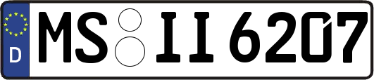 MS-II6207