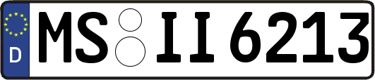 MS-II6213