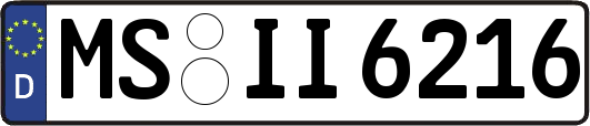 MS-II6216