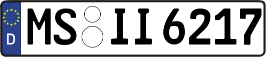 MS-II6217