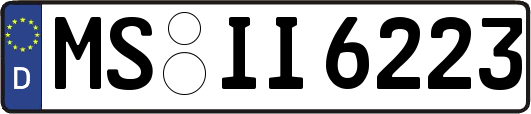 MS-II6223