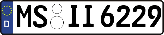 MS-II6229