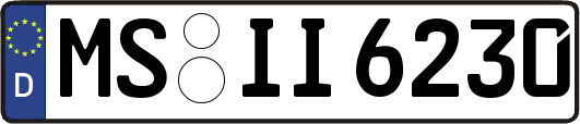 MS-II6230