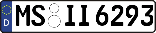 MS-II6293