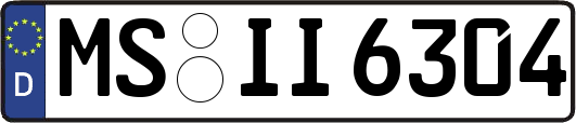 MS-II6304