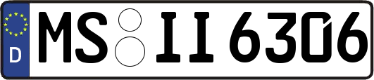 MS-II6306