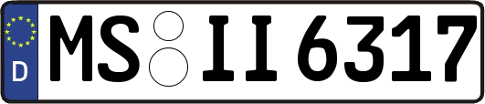 MS-II6317