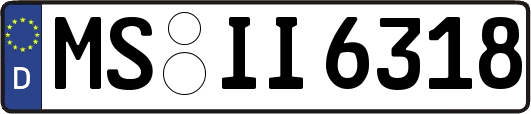 MS-II6318