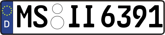 MS-II6391