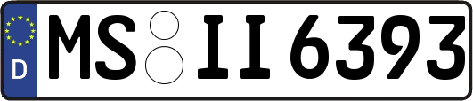 MS-II6393