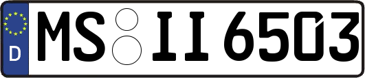MS-II6503