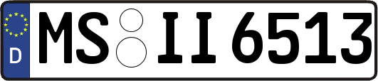MS-II6513