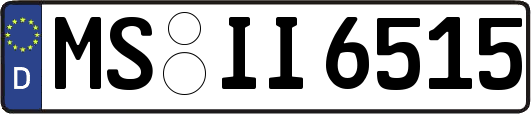 MS-II6515