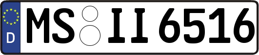 MS-II6516