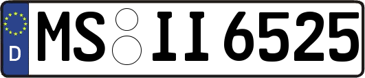 MS-II6525