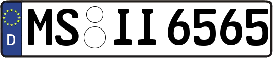 MS-II6565