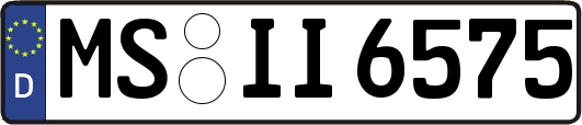 MS-II6575