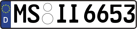 MS-II6653