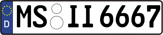MS-II6667