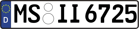 MS-II6725