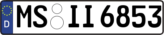MS-II6853