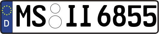 MS-II6855