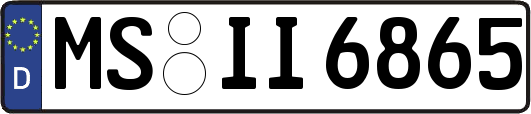 MS-II6865