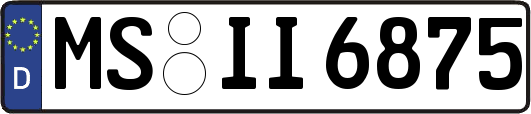 MS-II6875