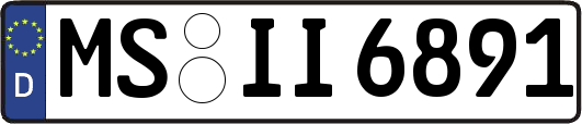 MS-II6891