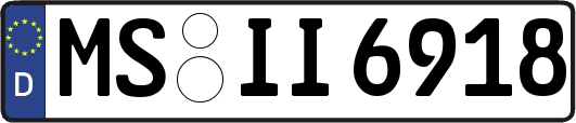 MS-II6918