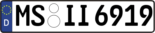 MS-II6919