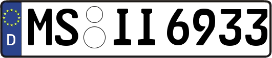 MS-II6933