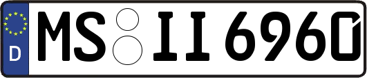 MS-II6960