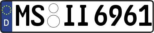 MS-II6961