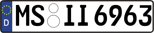 MS-II6963