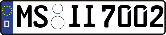 MS-II7002