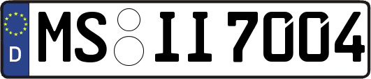 MS-II7004