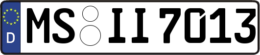 MS-II7013