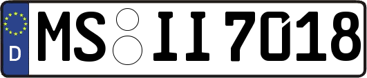 MS-II7018