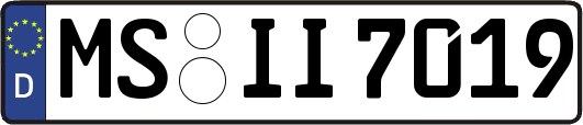 MS-II7019