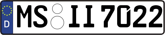 MS-II7022