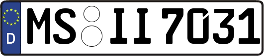 MS-II7031