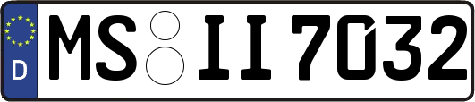 MS-II7032
