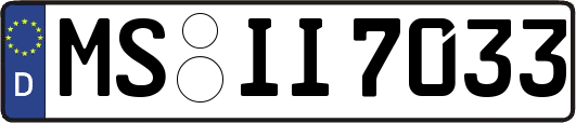MS-II7033