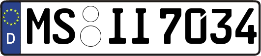 MS-II7034