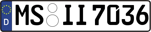 MS-II7036