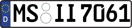 MS-II7061