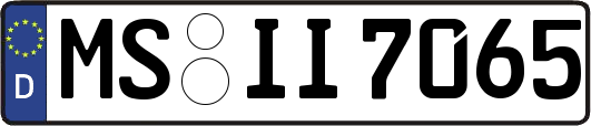 MS-II7065