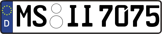 MS-II7075