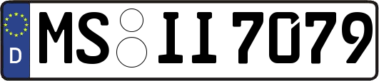 MS-II7079